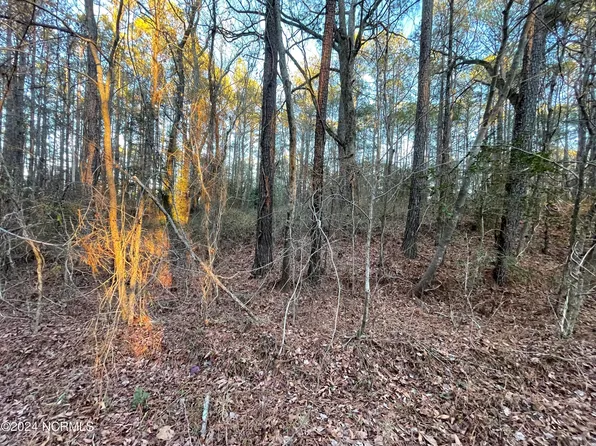 1061 Loblolly Drive, Vass, NC 28394