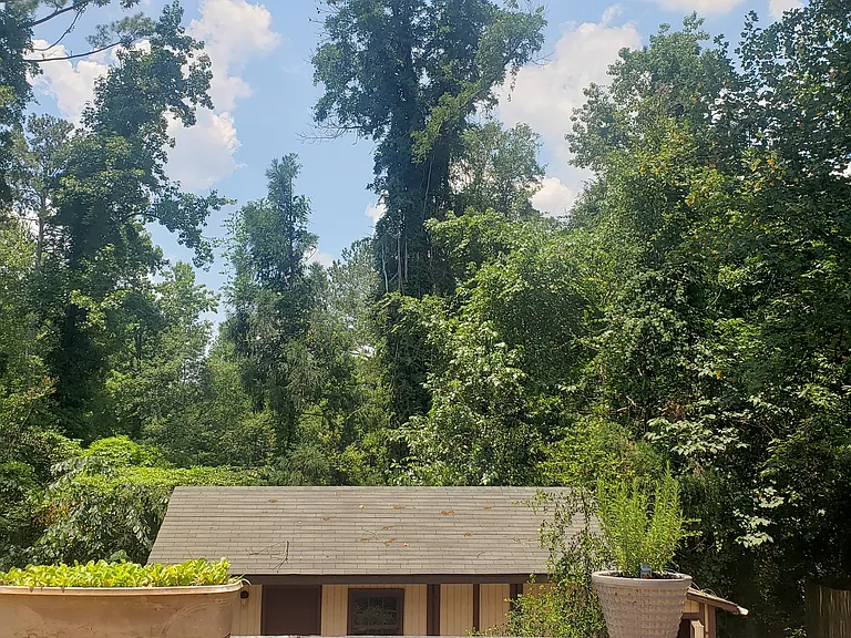 168 Habersham Dr — Photo 13