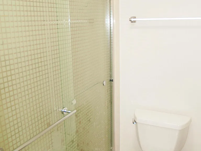Master bath with separate shower area