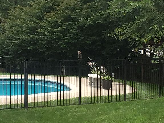 2nd image of 1212 Karen Ln