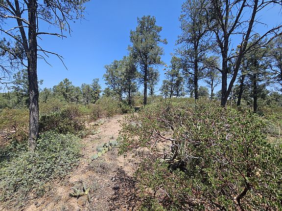 5th image of 2400 S Rim Club Dr