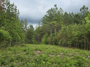 11 Holly Woods, Robbins, TN 37852