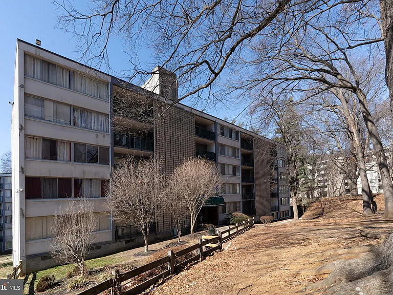 1804 Metzerott Rd #504 — Photo 4