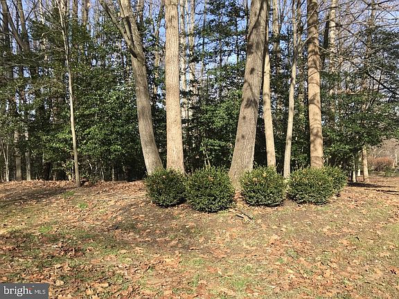 4th image of 1512 Wild Cranberry Dr