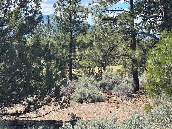 2nd image of Lot 59 Tee Pl Unit 4