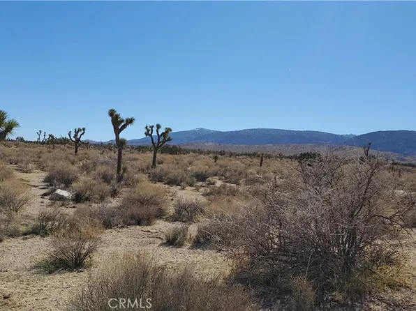 223 Saint East & Ave Lot 32, Llano, CA 93544