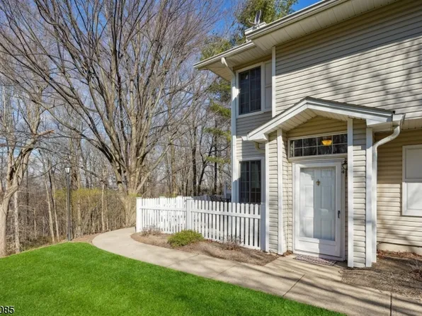 34 Encampment Dr, Bedminster Twp., NJ 07921