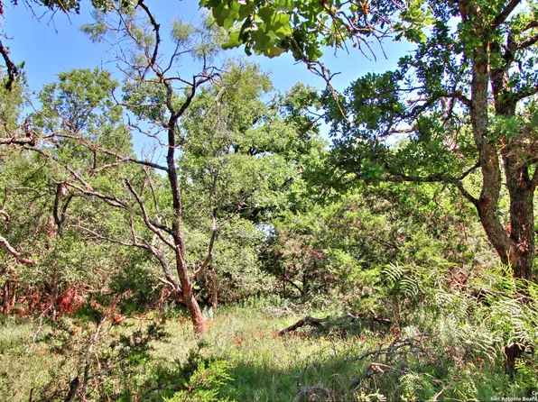 LOT 6 RR 1323 LOT 6, Willow City, TX 78675