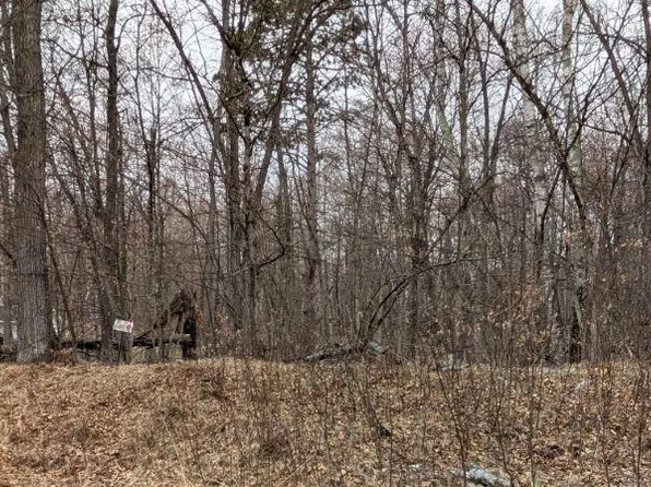 Castlewood Ct, Pequot Lakes, MN 56472