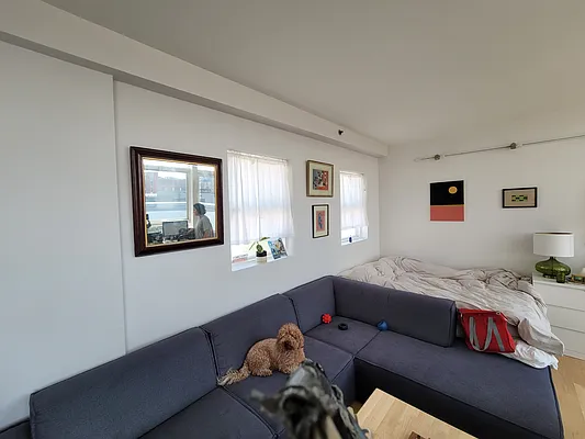 Rented by Garden Management | media 57