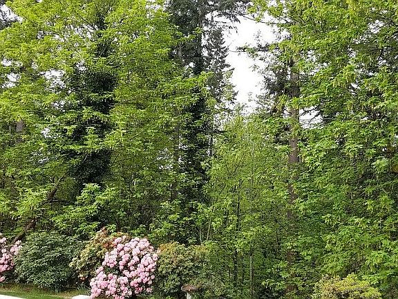 4th image of 1217 216th Ave NE