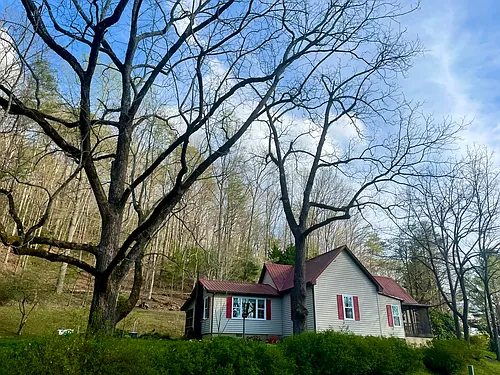 926 Lower Trackrock Rd Photo 1