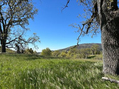30731 Pinedale Dr #39, Tehachapi, CA, 93561