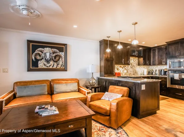 450 S Original St APT 2, Aspen, CO 81611