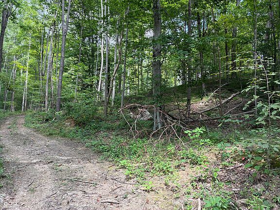 4th image of 0 Pumpkinvine Hill Rd