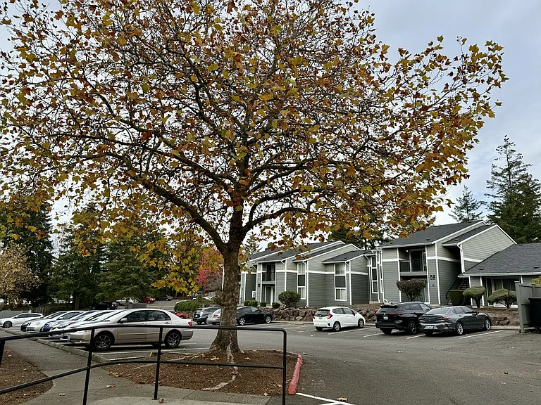 Benson Village — Photo 33