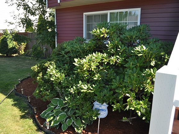 4th image of 9614 219th Street Ct E
