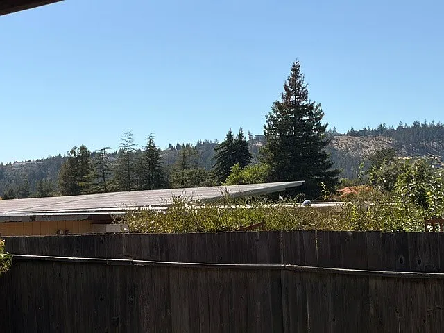 545 Saint Mary Dr — Photo 13