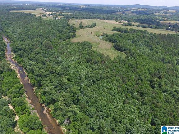 2nd image of Highway 47 Acres #53