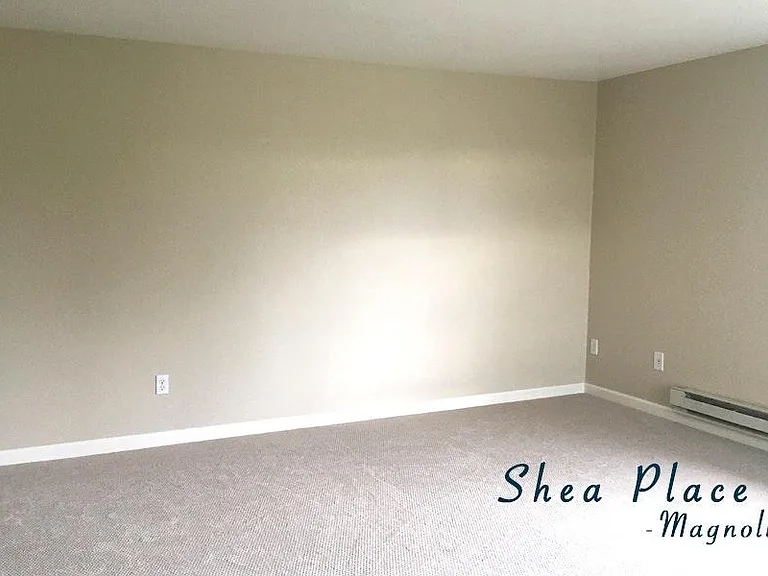 Very Spacious Living Room