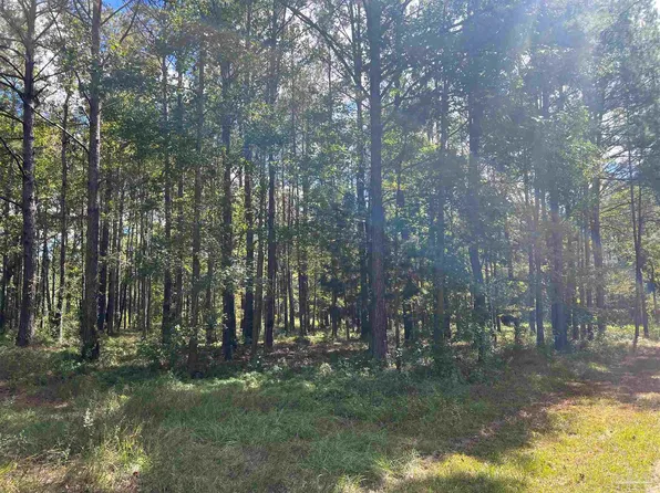 0 Dailey St, East Brewton, AL 36426