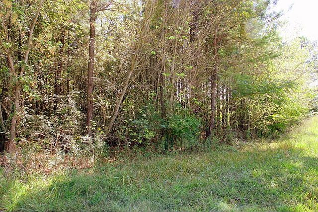 2nd image of 1356 Ewing Chapel Rd