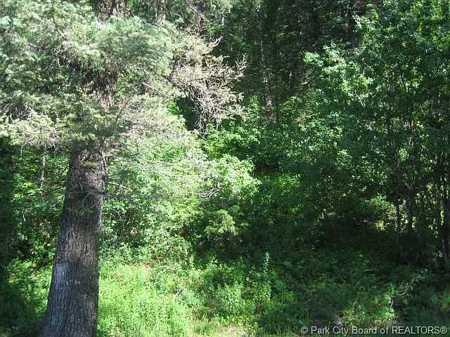 2nd image of 625 N View Dr #61