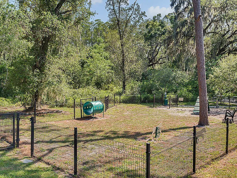 12780-olive-jones-road--tampa--fl-33625
42