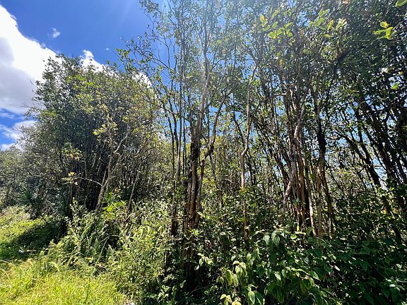 3rd image of Road 3 Hopue #3345