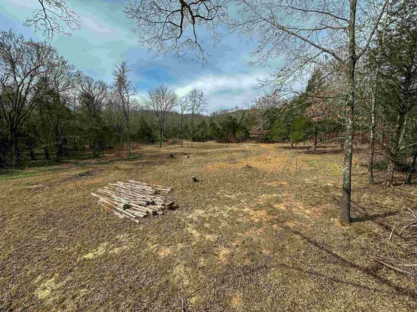 00A Lawrence Rd #107, Ravenden, AR 72459