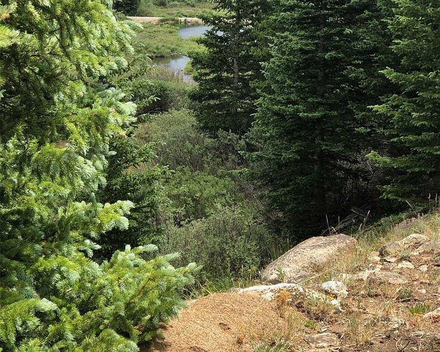 1st image of 233 Creek Court