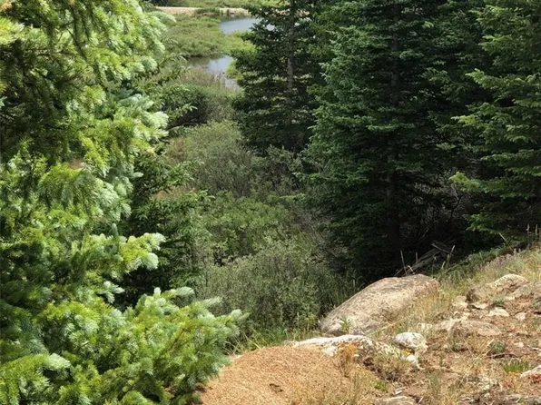 233 Creek Court, Fairplay, CO 80440