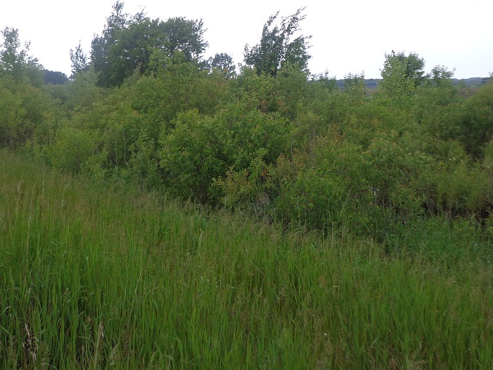 2nd image of 24279 69th Ave