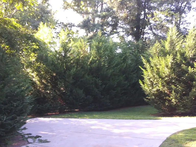 646 Greenwood Dr — Photo 15