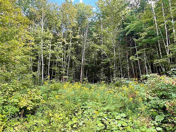 2nd image of 00 Dog Wood Lane
