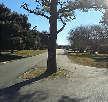 3rd image of 0 Ironwood Dr
