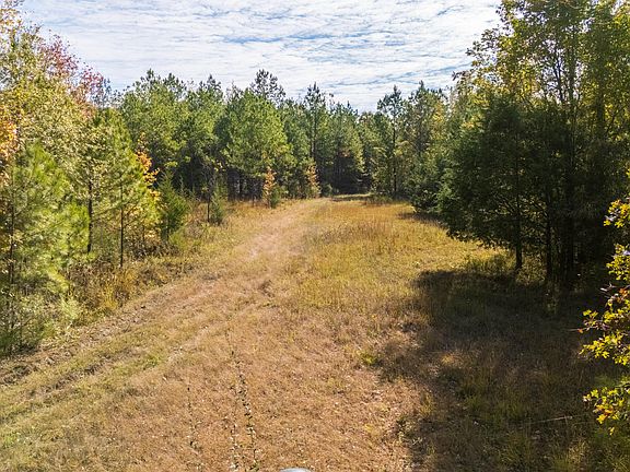 5th image of Little Coontail Rd
