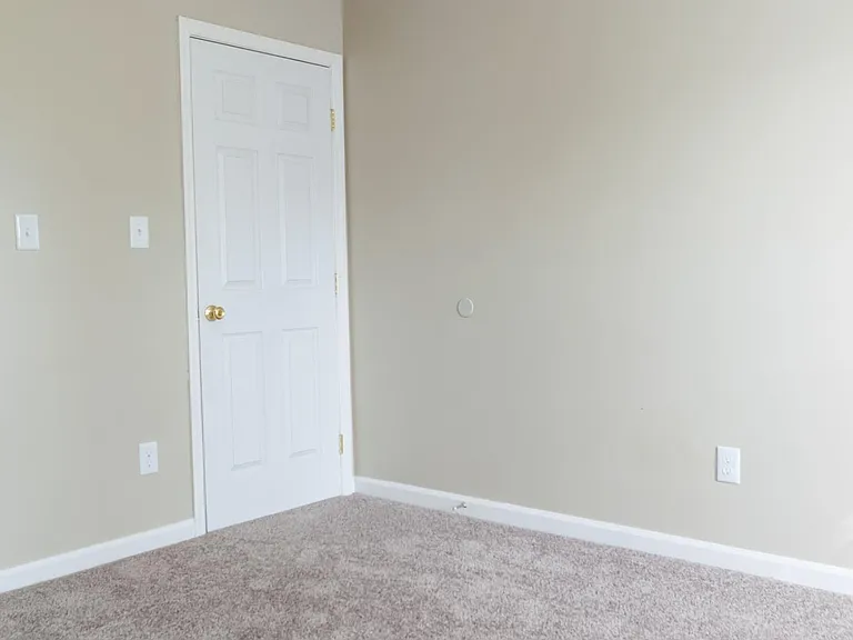 1118 Mount Rushmore Way — Photo 23