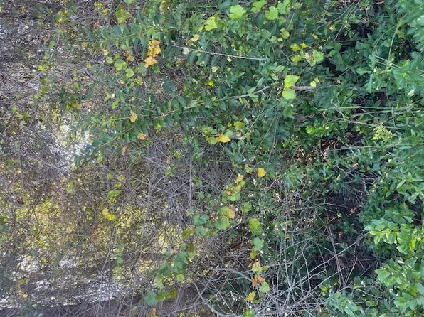 0 Greg Ln, Douglas, GA 31535