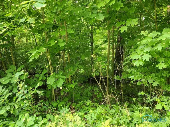 0 Parcher Rd, Bucyrus, OH 44820