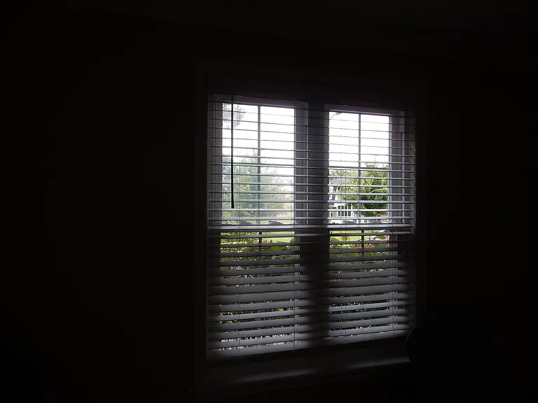 807 Lex St — Photo 61
