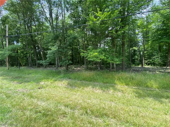 Columbia Ln, Rock Creek, OH 44084