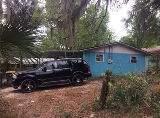255 E Jackson Ave, Mount Dora, FL 32757