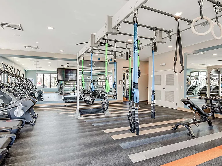 Train your way with premium cardio equipment, functional fitness stations, free weights, and dedicated strength-training zones in a bright, professionally designed fitness center.