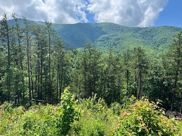 1st image of 27 Aryel Overlook Way Lot 27