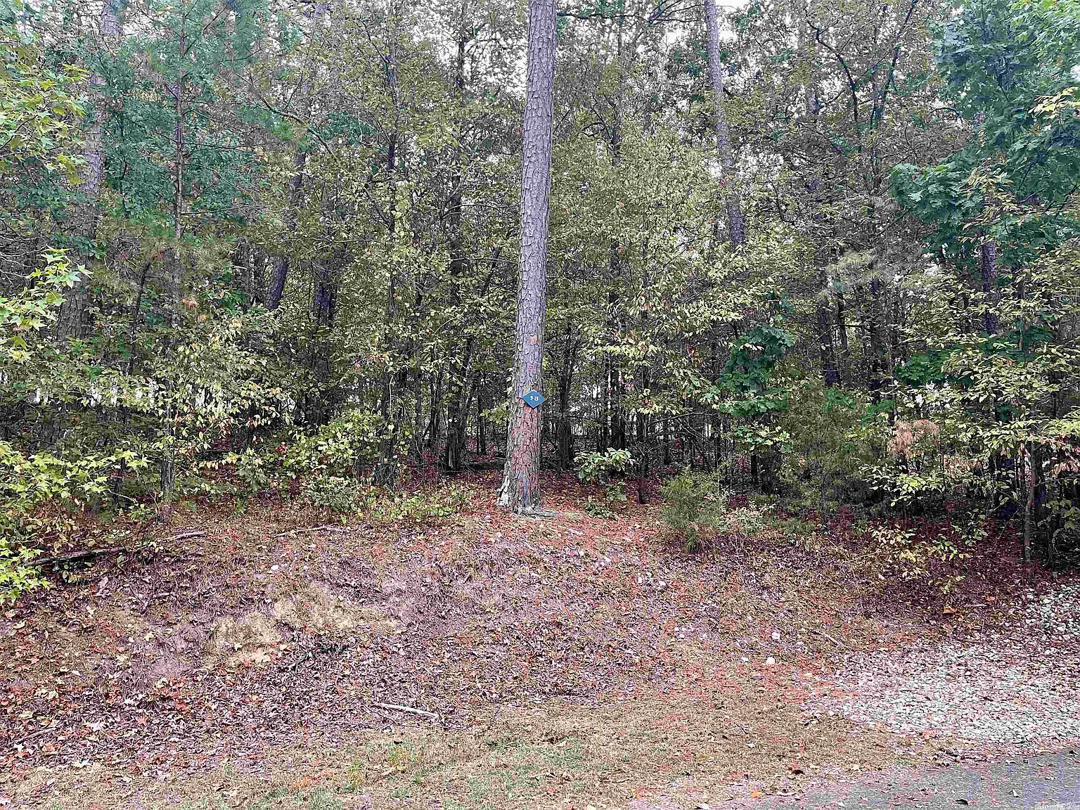 (Undisclosed Address)