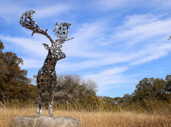 LOT 6 Gene Walker Trl, Hunt, TX 78024