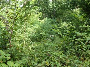 Neddy Mountain Rd, Del Rio, TN 37727