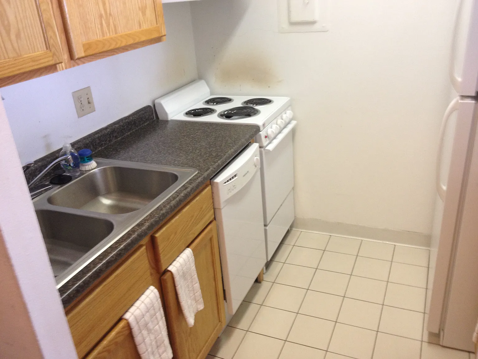 1 bed, $845 — Photo 4
