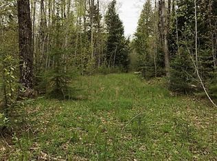 825 E Edge Rd, Germfask, MI 49836